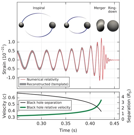 Searching For Black Holes Using Auto Differentiation Emerging